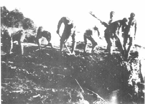 蘇浙軍區(qū)的大生產運動